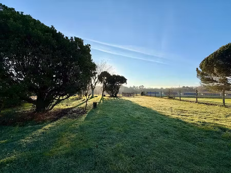 vente terrain 700 m² à berson (33390)  35 000 €