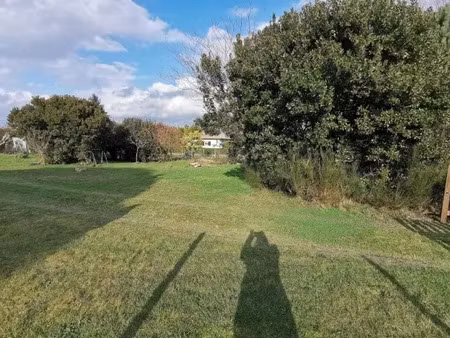 vente terrain 700 m² à berson (33390)  49 900 €