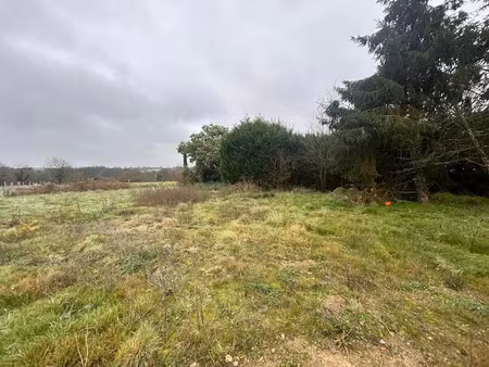 vente terrain à batir 599 m² à la remaudière (44430)  79 000 €