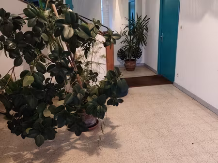 vente immeuble 271 m²