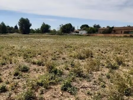 terrain 301 m² saint pargoire