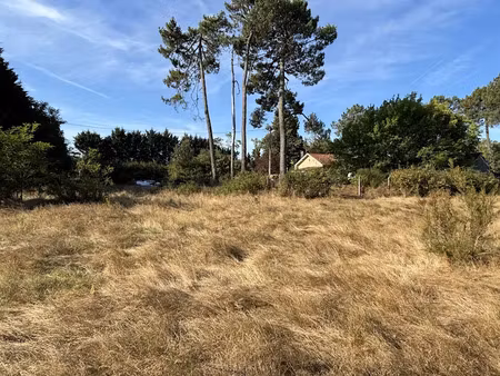 vente terrain 10000 m² à ychoux (40160)  489 800 €