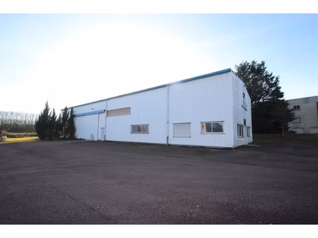 vente locaux professionnels 0 pièces 576 m² à sougy-sur-loire (58300)  180 000 €