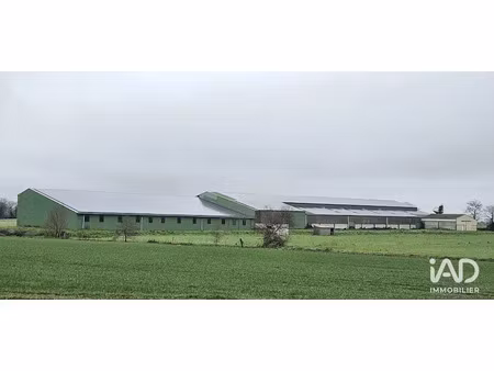 vente locaux professionnels 4500 m² à beaufou (85170)  370 000 €