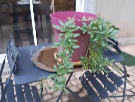 location meublée maison 4 pièces 80 m² à montchanin (71210)  870 €