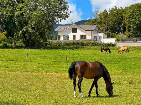 maison à vendre 7 pièces divonne les bains - maison contemporaine avec vue et magnifiques 