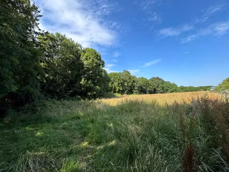 terrain 0 pièces 8300 m² à vendre / acheter lahitte-toupière 65700 ? | era immobilier