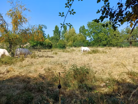 achat terrain 2 217m² beceleuf 79160