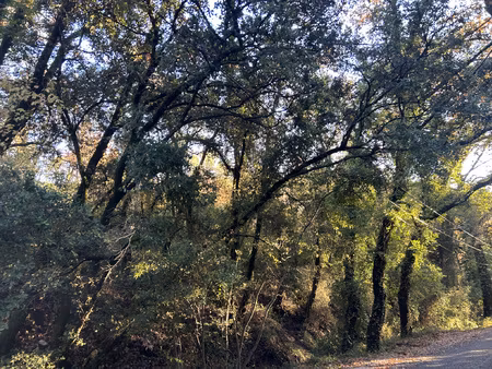 achat terrain 1 870m² bargemon 83830