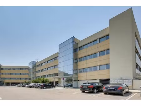 location local professionnel 460m²