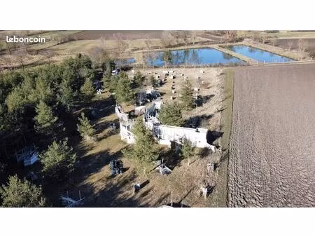 entreprise paintball 43 à vendre avec terrain