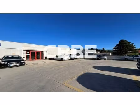 location local professionnel 120m²