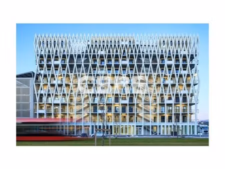 location local professionnel 403m²