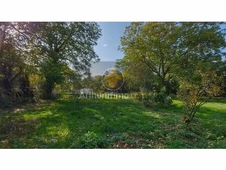 vente terrain 3600 m2 à presles-en-brie