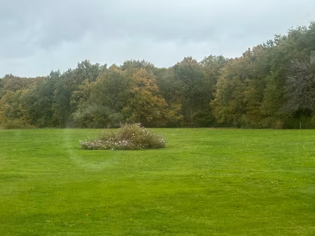 propriété à vendre cheverny 8 pièce(s) 320m2 1 266 000€