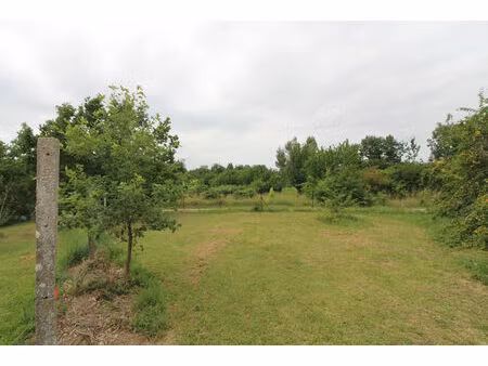 vente terrain  1184.00m²  montauban