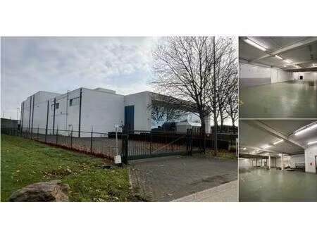 surface industrielle à louer à lausbedstraat 4 maasmechelen (rbu88647)
