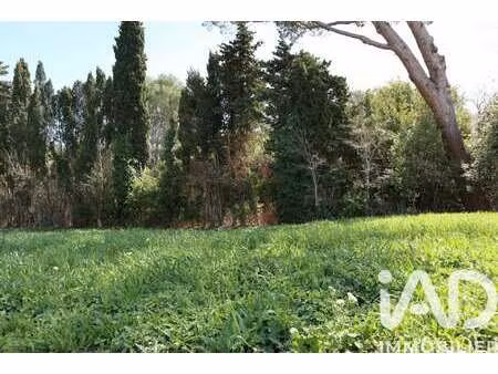 vente terrain à escales (11200) : à vendre / 614m² escales