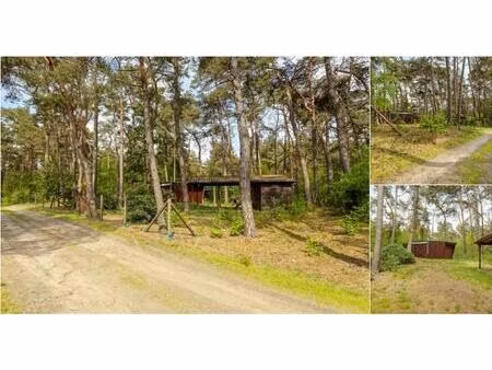 terrain agricole à vendre à kapelstraat 176 balen (rbu88076)