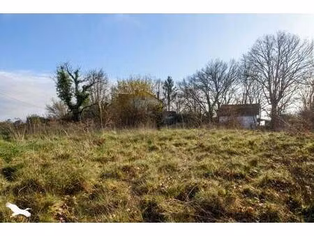 vente maison 9 pièces 171 m² saint-pierre-du-mont (40280)