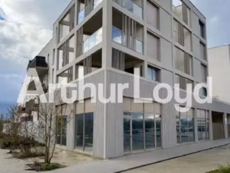 local commercial ou professionnel à fleury sur orne - 274 m²