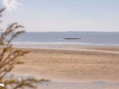 vente maison 4 pièces 142 m² à ares (33740)  845 640 €