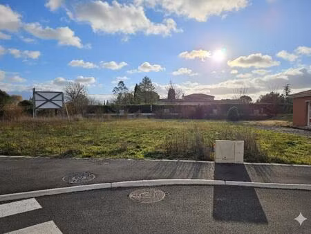 terrain constructible