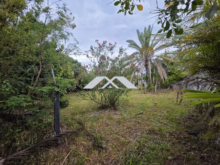 l'opportunité unique: terrain la montagne!