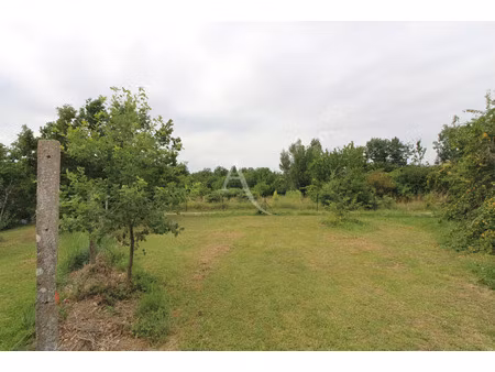 vente terrain 1229 m² montauban (82000)