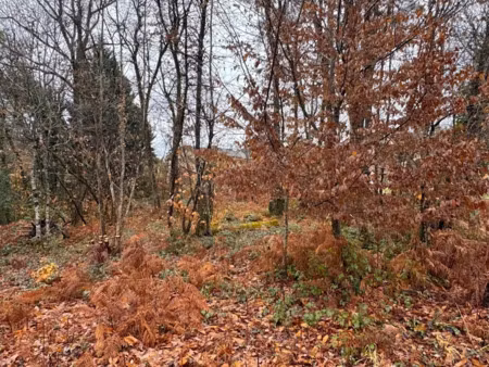 vente terrain 1000 m² à chancelade (24650)  37 000 €