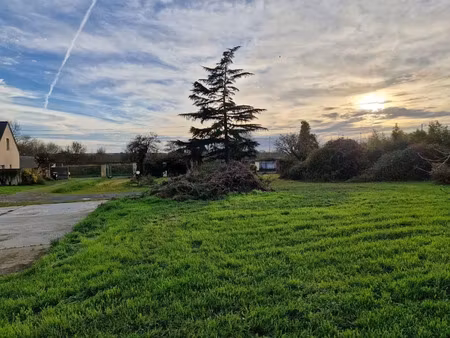 vente terrain 1257 m² à champtocé-sur-loire (49123)  55 000 €