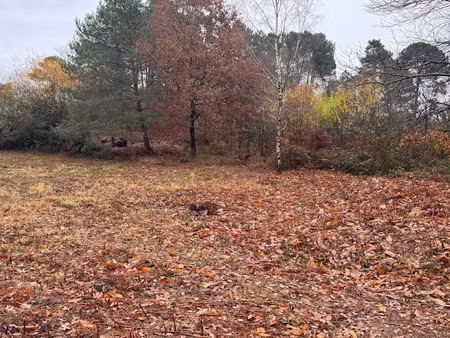 vente terrain 2499 m² à chancelade (24650)  50 000 €