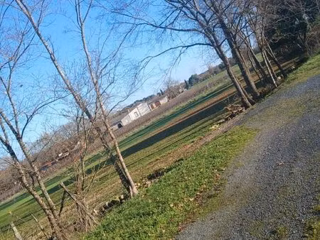 terrain environ 2000m2