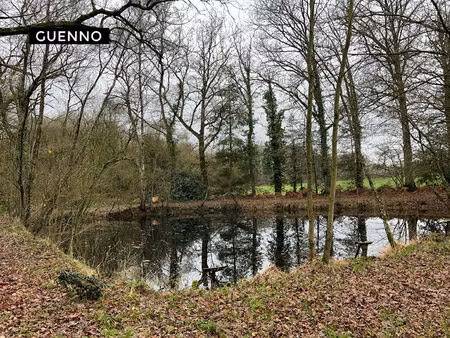 terrain + etang dinge