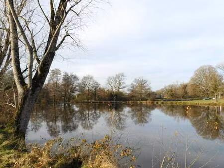 87250 bessines-sur-gartempe - propriété de 1 hectares 1/2 avec étang.