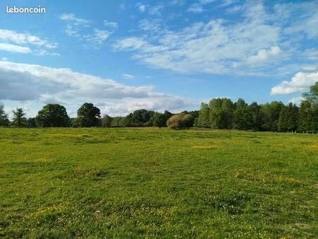 location terrain pour chevaux