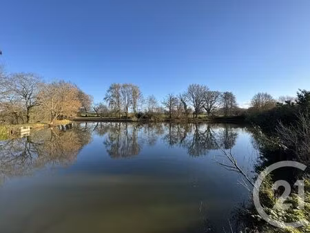 terrain à vendre - 9180 m2 - mouhers - 36 - centre