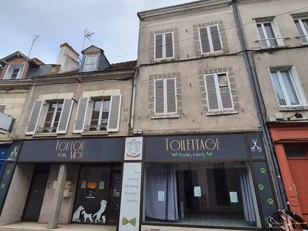 achat immeuble 250m² romorantin lanthenay 41200