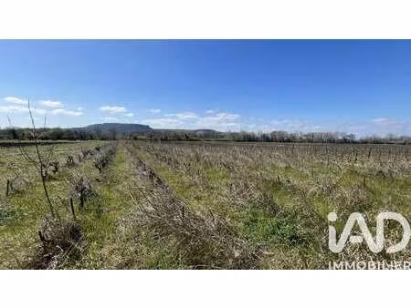 vente terrain à codolet (30200) : à vendre / 5158m² codolet