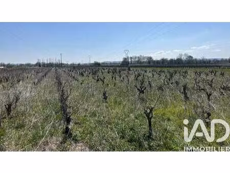 vente terrain à codolet (30200) : à vendre / 5160m² codolet