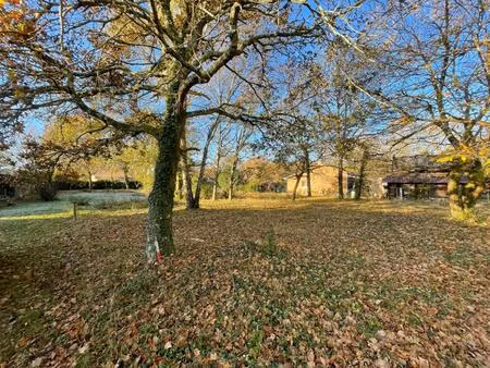 vente terrain 1867 m² magescq (40140)