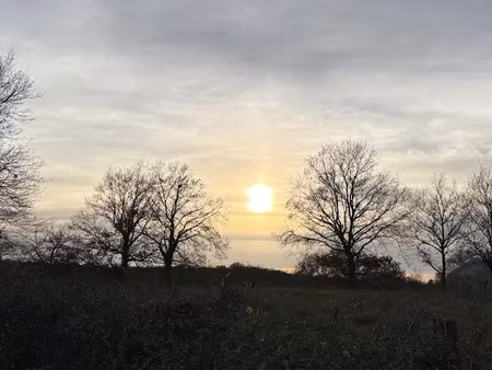 vente terrain 1177 m² à paray-le-monial (71600)  50 611 €