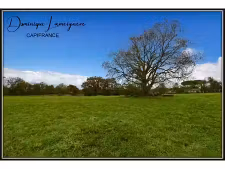 vente terrain 2153 m² à saint-cricq-du-gave (40300)  40 000 €