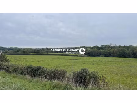 vente terrain à batir 1790 m² à semur-en-auxois (21140)  50 000 €