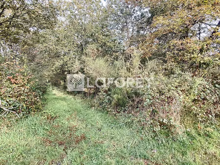terrain monteneuf 1550 m2