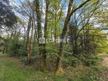 terrain monteneuf 3445 m²