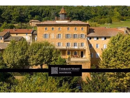 maison de luxe de 10 pièces en vente à gleizé  france