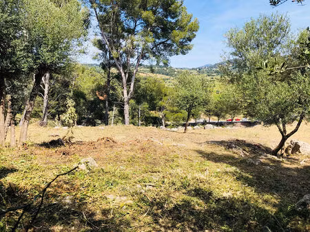 achat terrain 871m²