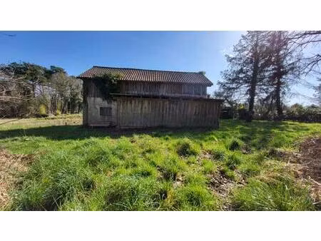 24130 entre bergerac et mussidan grange bois sur parcelles de 5900 m² environ