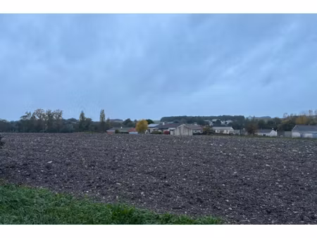 annonce terrain à vendre